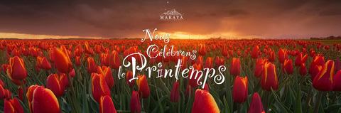 Makaya Chocolat & Bistro photo 1