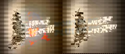 Fish - Club privé photo 1