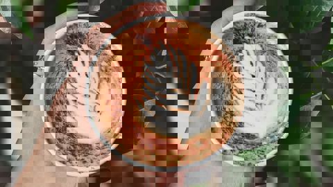 Vitalité Traiteur photo 1