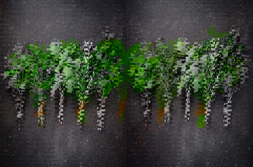 FRAÏCHE -Traiteur Urbain photo 1