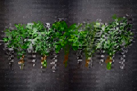 FRAÏCHE -Traiteur Urbain photo 1