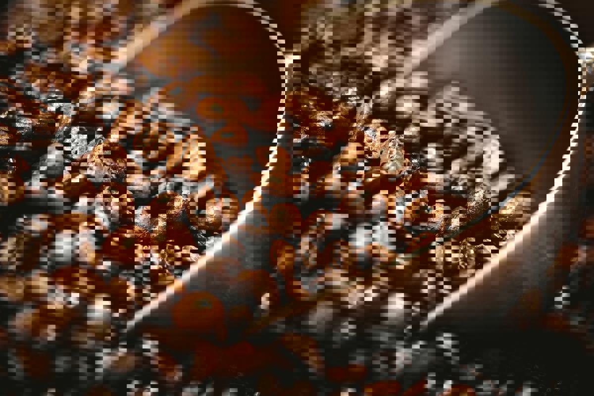 Brûlerie Café Aladdin photo 1