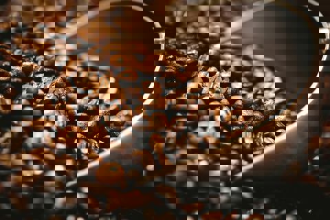 Brûlerie Café Aladdin photo 1