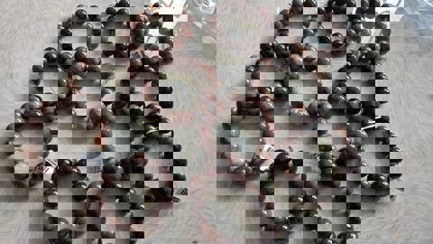 Astoria Bistro Botanique photo 1