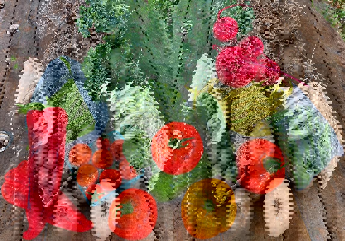 Le Café Des Trois Pommiers photo 1