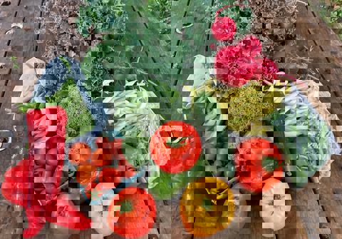 Le Café Des Trois Pommiers photo 1