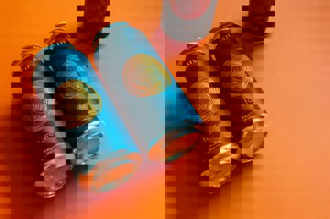 Vilains Brasseurs photo 1