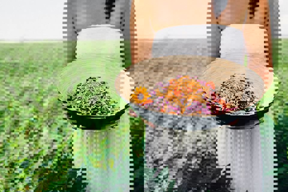 Les Passions De Julie photo 1