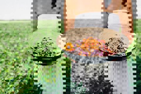 Les Passions De Julie photo 1