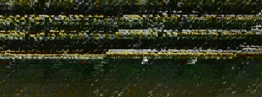 HOUBLON BASTIEN photo 1