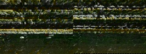 HOUBLON BASTIEN photo 1