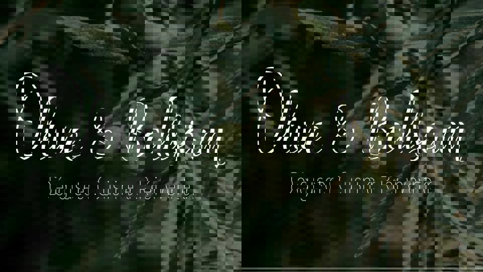 Olive & Balsäm photo 1