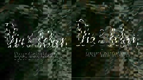 Olive & Balsäm photo 1