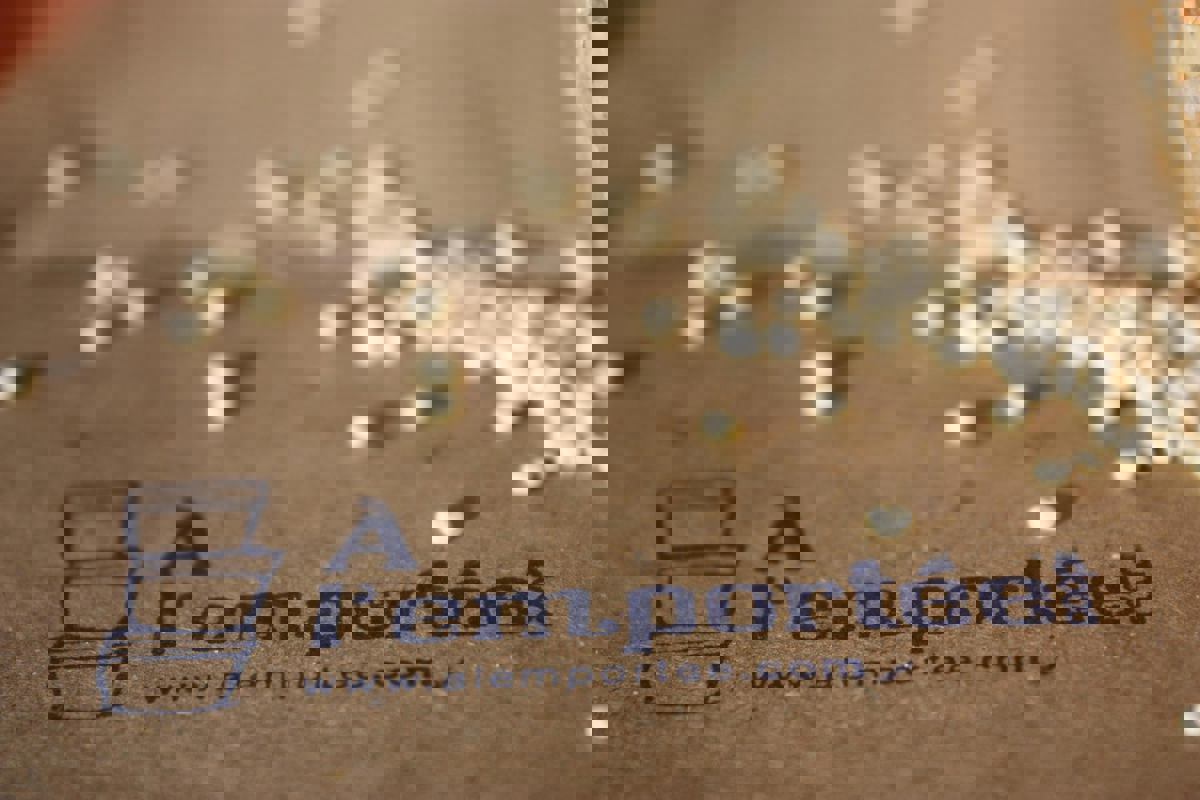 À l’emportée coop photo 1