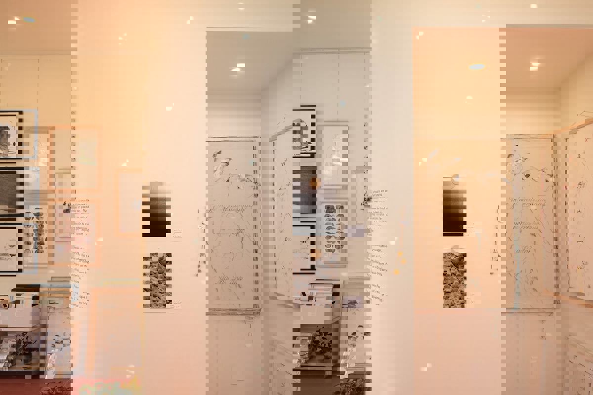 Maison Papier photo 1