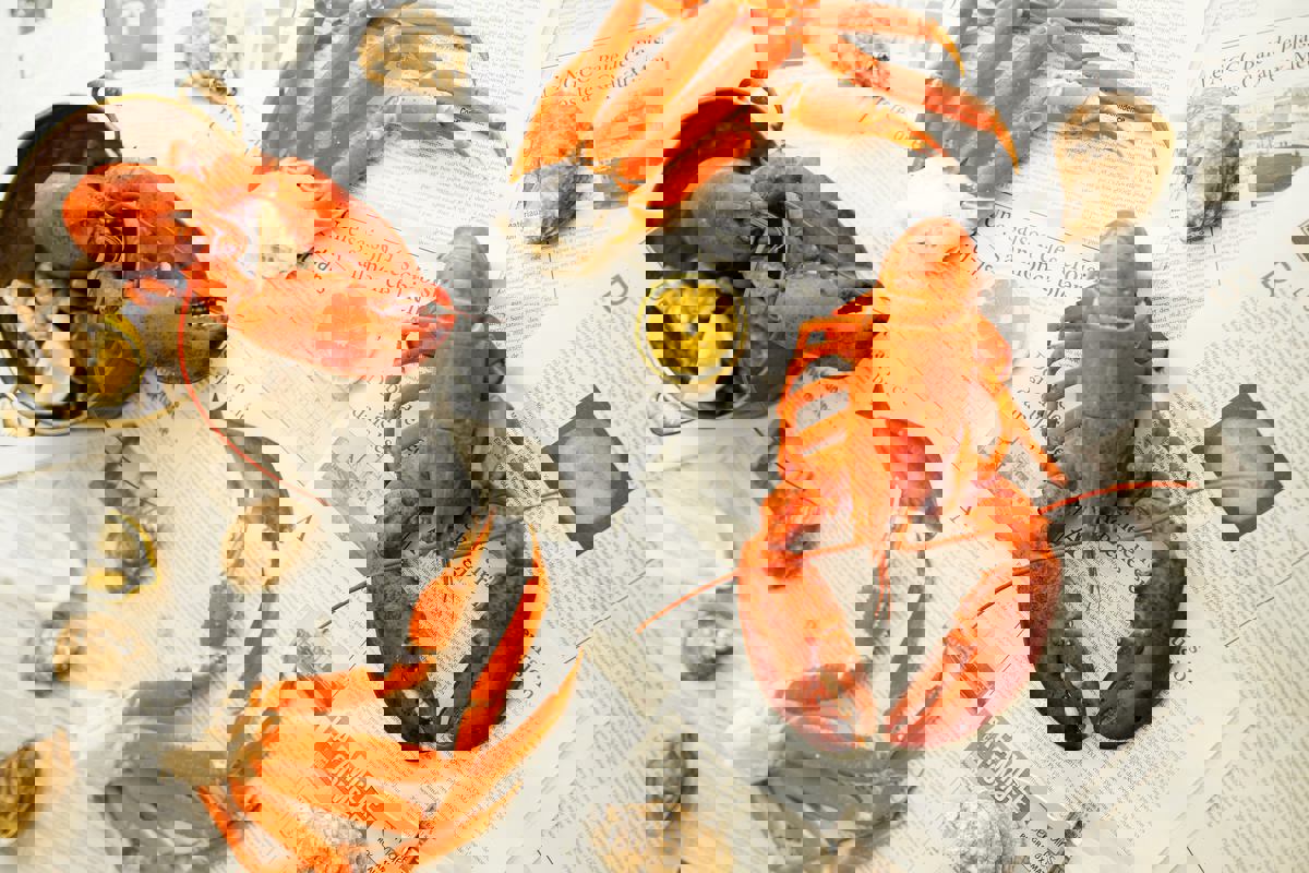 Pêcheries LéoMar photo 1