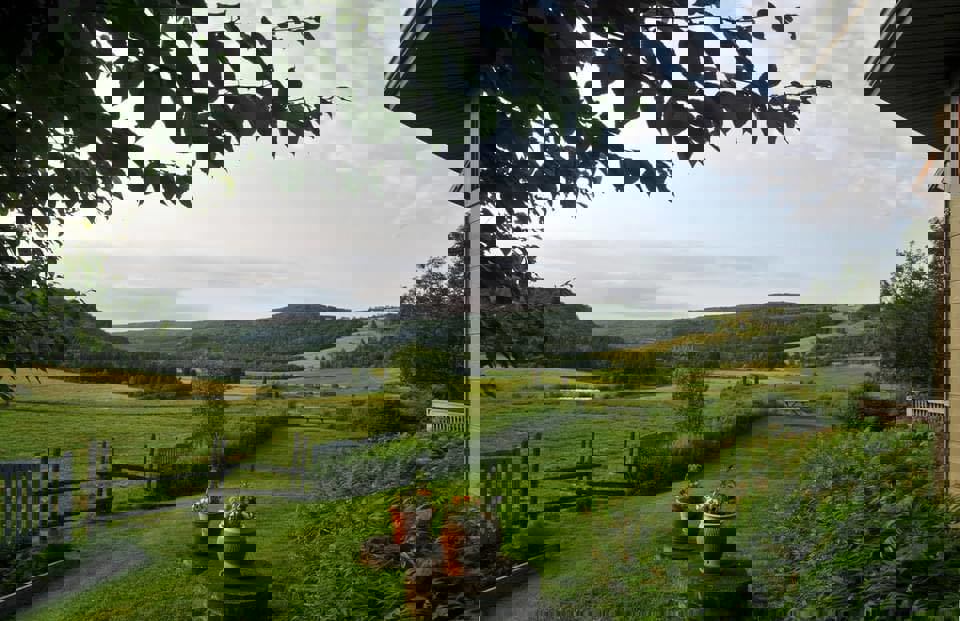 Amis du Patrimoine de St-Venant-de Paquette (Les) photo 1