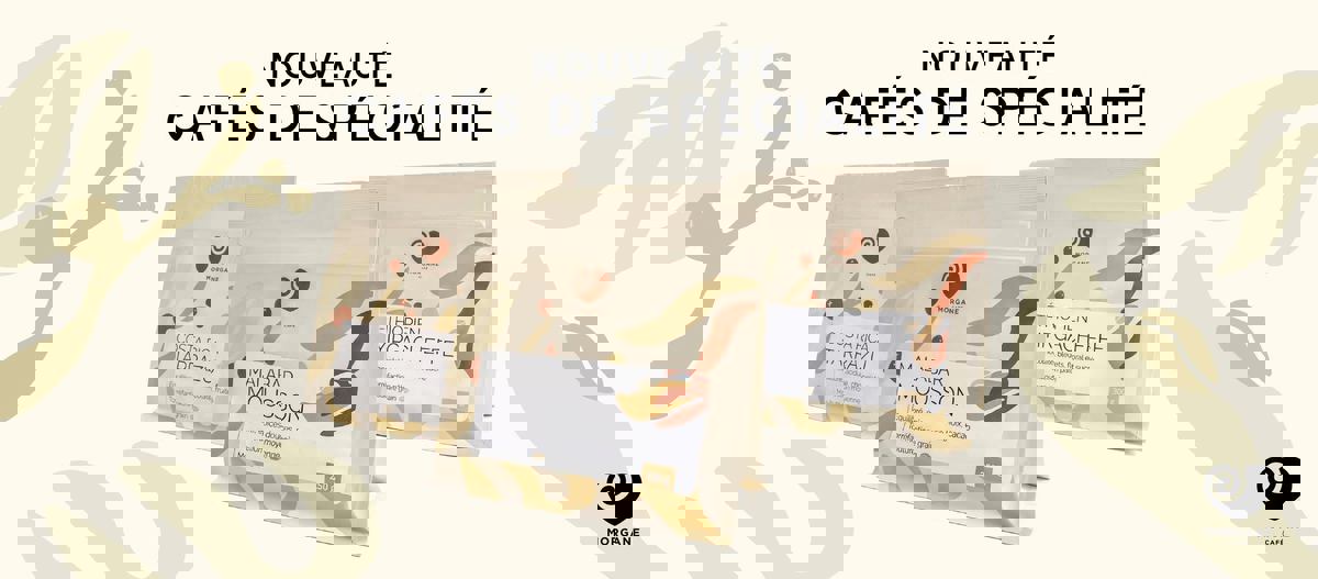 Café Morgane photo 1