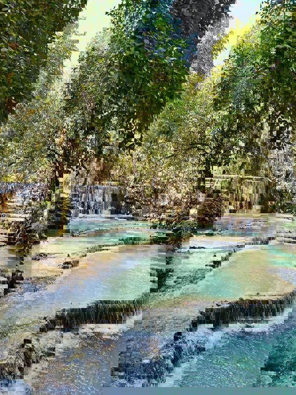 Les Délices Du Lao-Thai photo 1