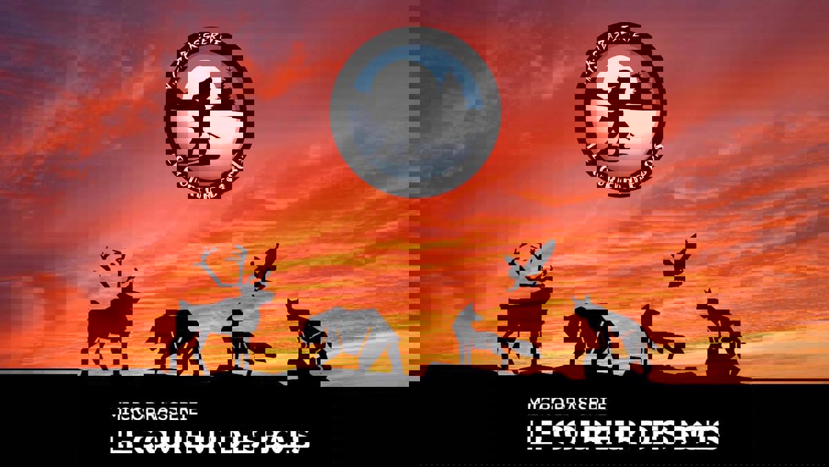 Le Coureur des Bois - Microbrasserie (Pub) photo 1