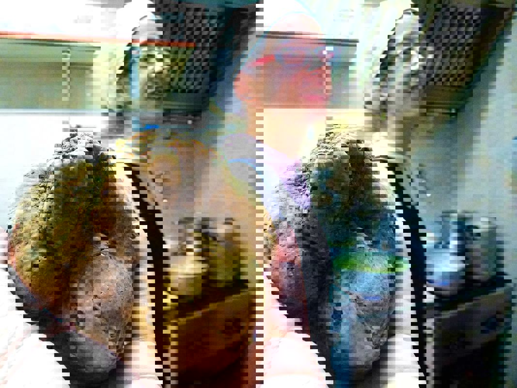 Pizzeria Bottega photo 1