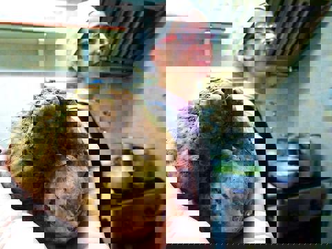 Pizzeria Bottega photo 1