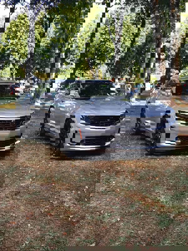 Café L'Orchidée photo 1