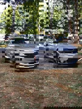 Café L'Orchidée photo 1