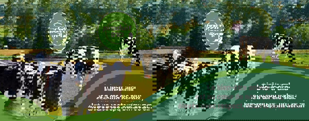 Fromagerie P'tit plaisir photo 1