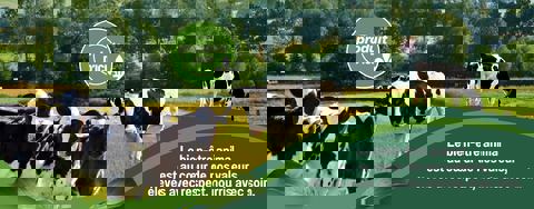 Fromagerie P'tit plaisir photo 1