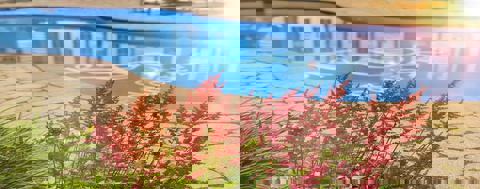 Le Relais St-Denis photo 1