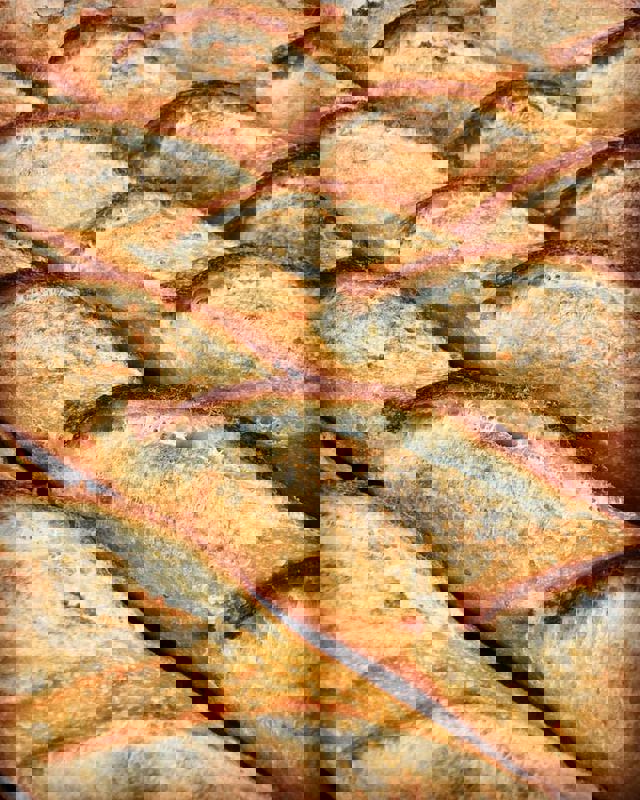 Deux gars dans l'pétrin photo 1