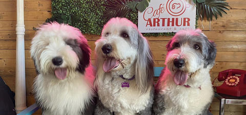 Café Arthur photo 1