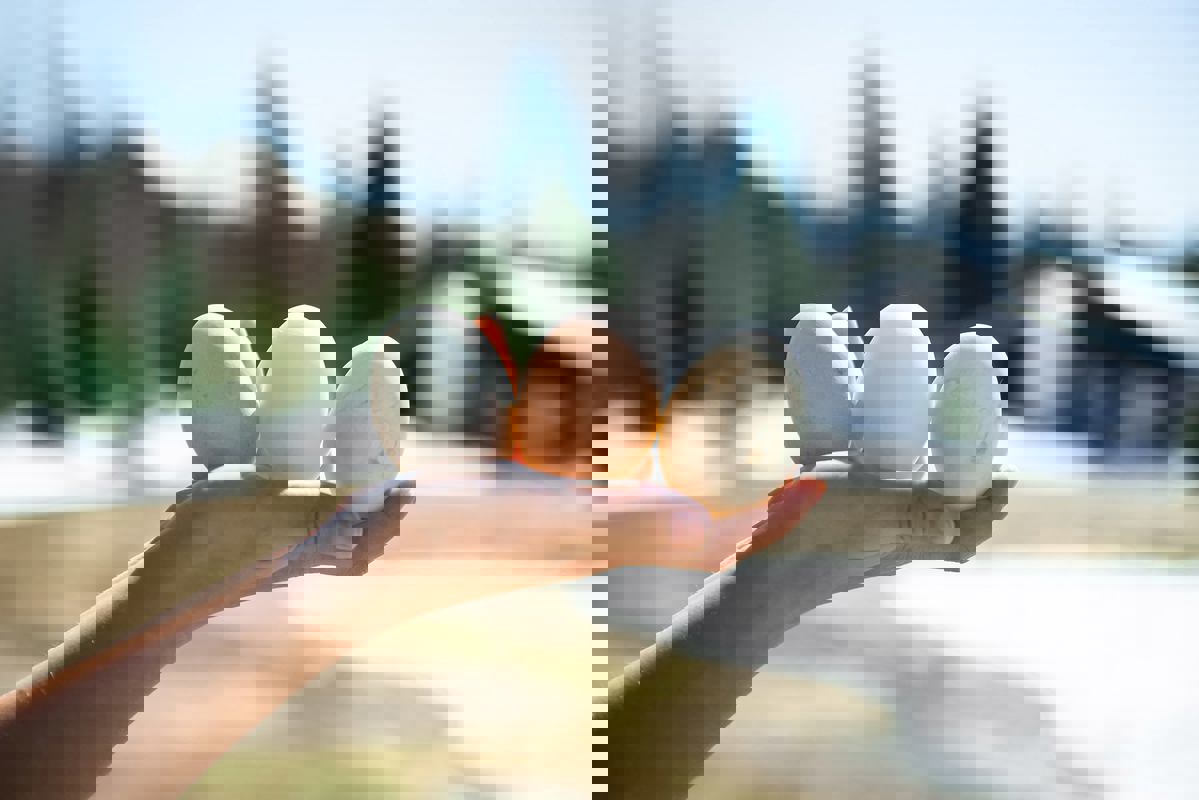 À la canne blanche photo 1