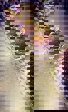 Passion Gourmande photo 1