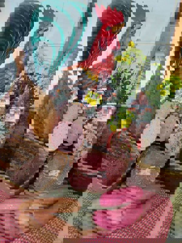 Maison Staner photo 1