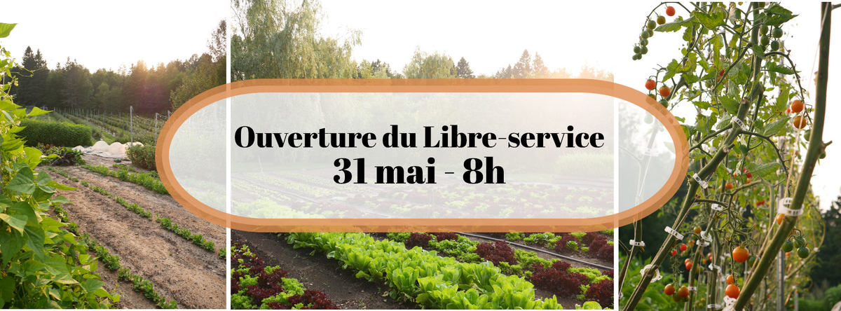 Bouffée d'air et Fourchettes photo 1