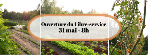 Bouffée d'air et Fourchettes photo 1