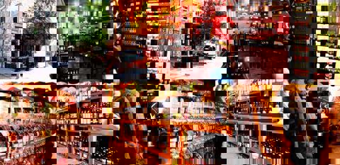 Caféier-Boustifo photo 1