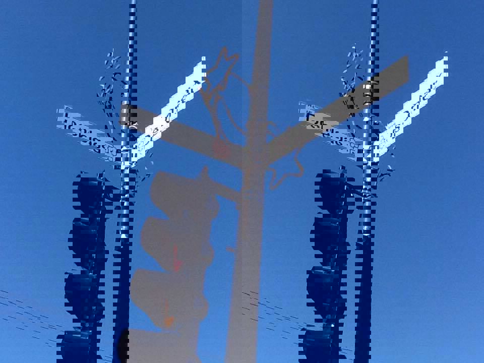 Au goût tropical photo 1