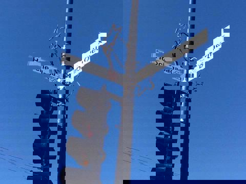 Au goût tropical photo 1