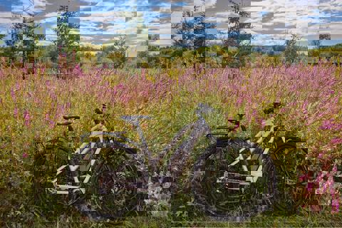 Relais Café photo 1