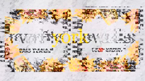 New York Fries Carrefour Laval photo 1