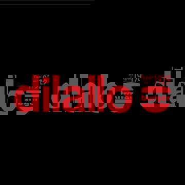 Dilallo Burger photo 1