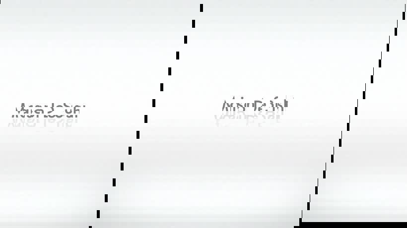 Maison de Sushi photo 1