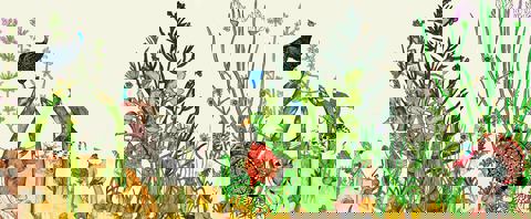 Rose Ross Restaurant photo 1