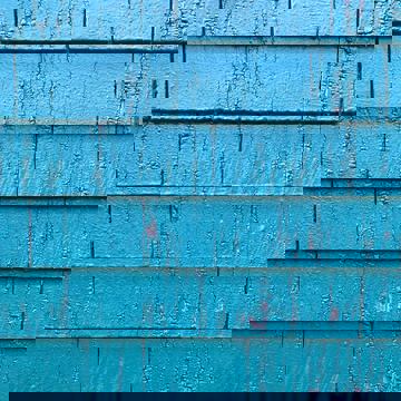 Buvette de la sirène photo 1