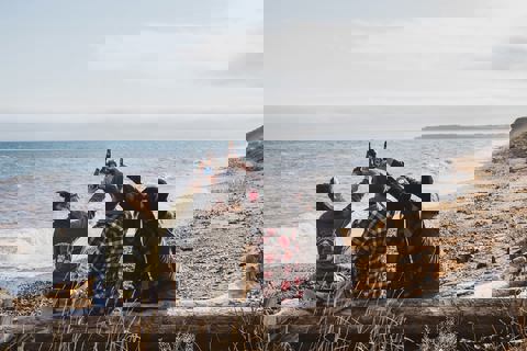 Pub Pit Caribou Percé photo 1