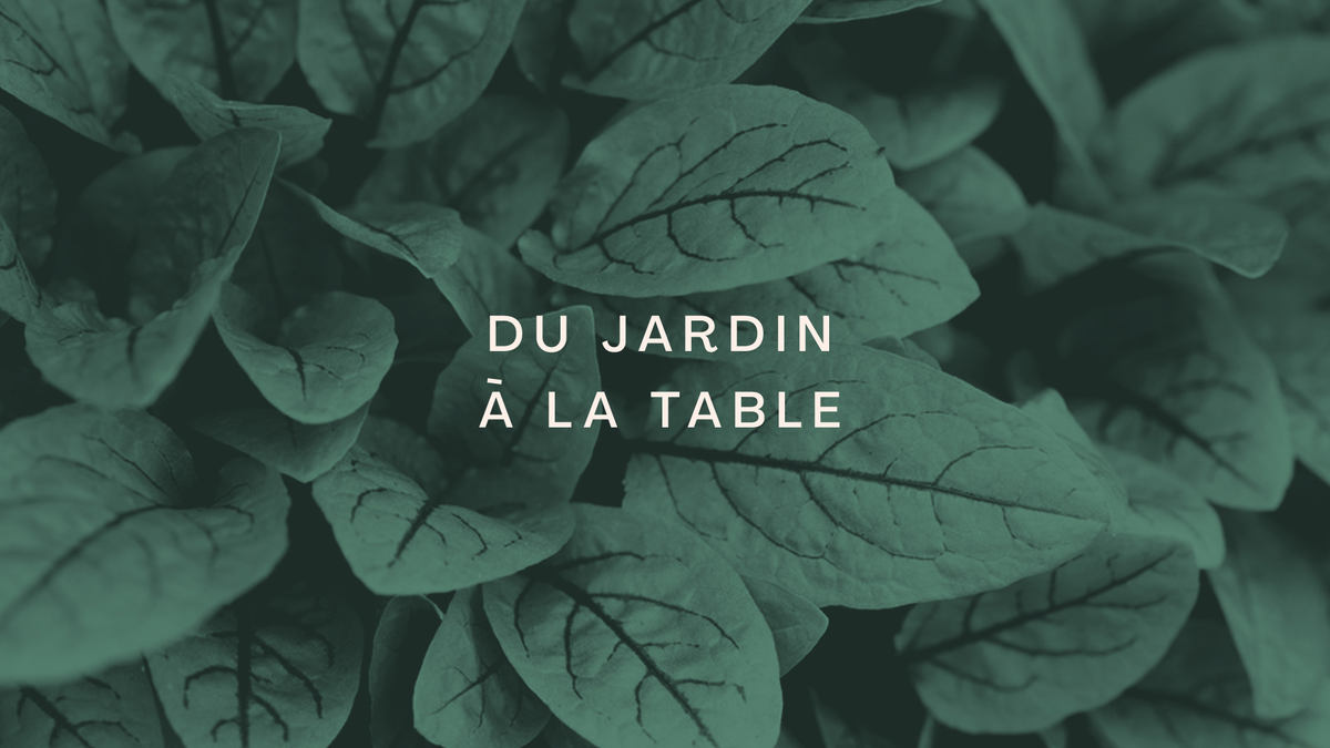 Bistro Hortus photo 1