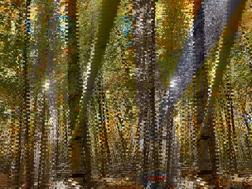 Sucrerie Boisvert et Fils Inc photo 1